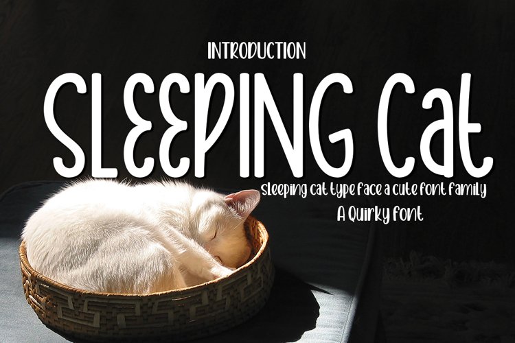 Sleeping Cat