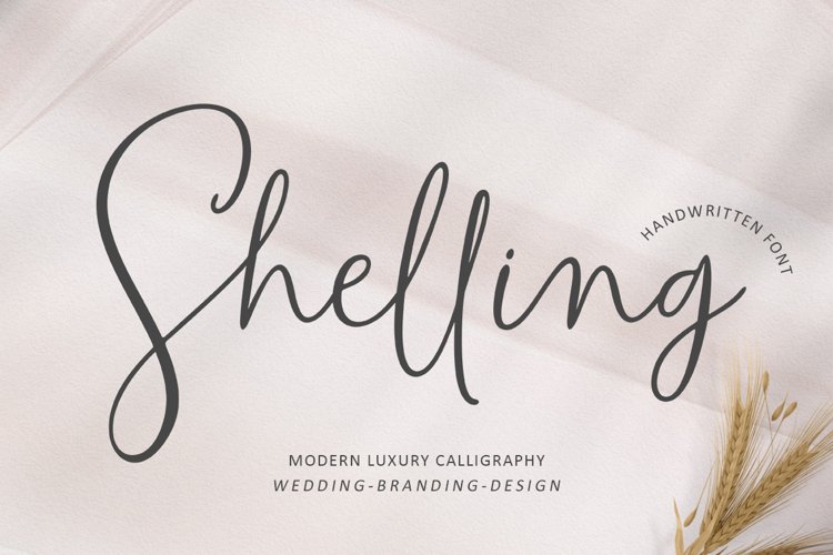Shelling Script