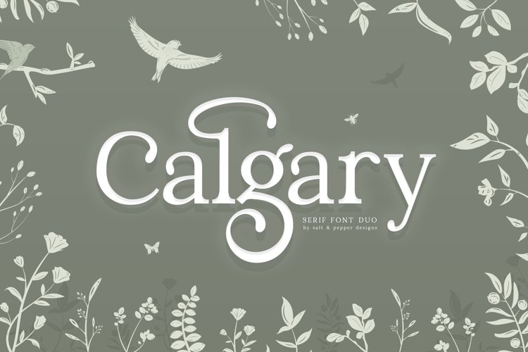 Calgary Serif Font