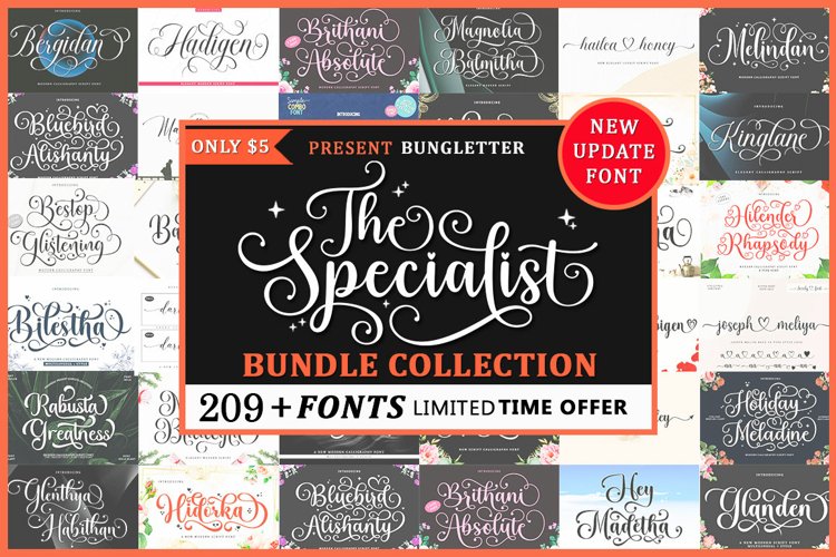 The Specialist Font Bundle Collection - New Update