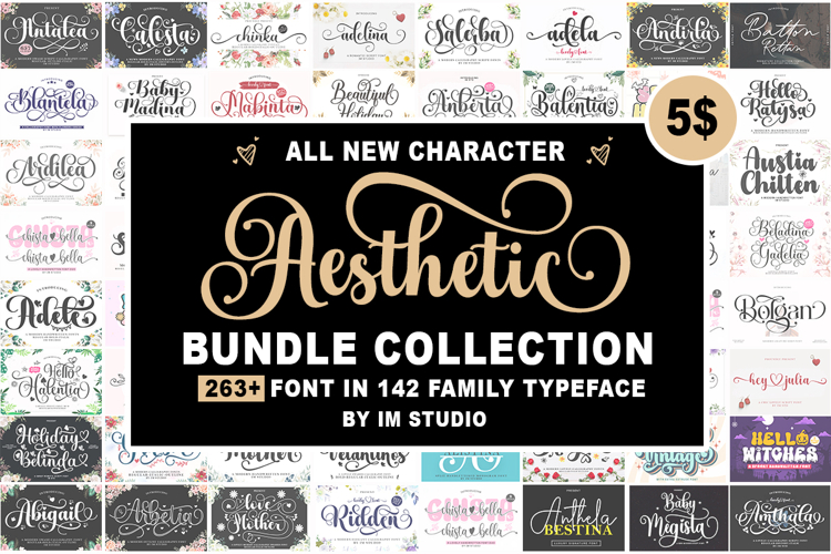 Aesthetic Bundle Collection