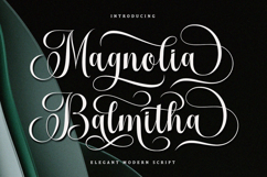 Sophia Honey Family Font Product Image 16