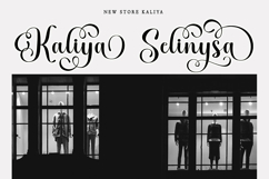 Sophia Honey Family Font Product Image 22