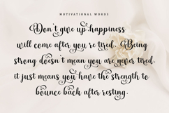 Sophia Honey Family Font Product Image 24