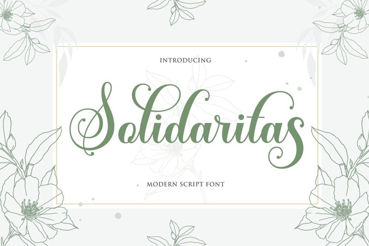 Solidaritas