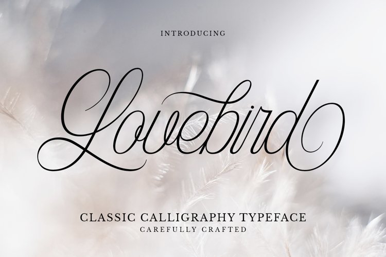 Lovebird - A Classic Calligraphy Font
