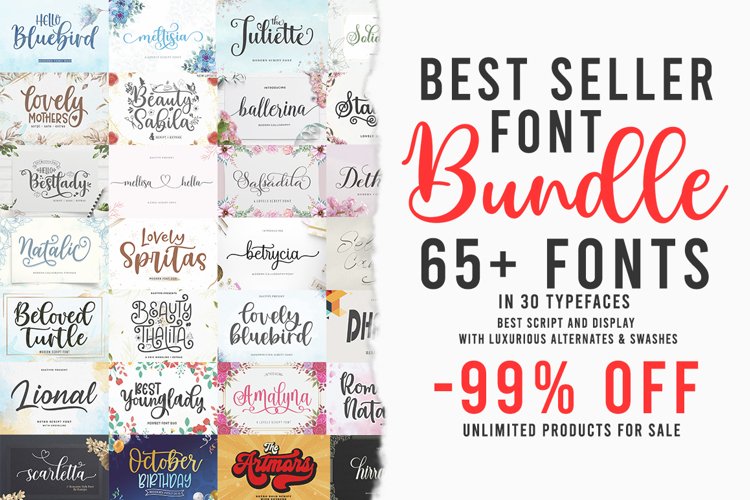 Best Seller Font Bundle