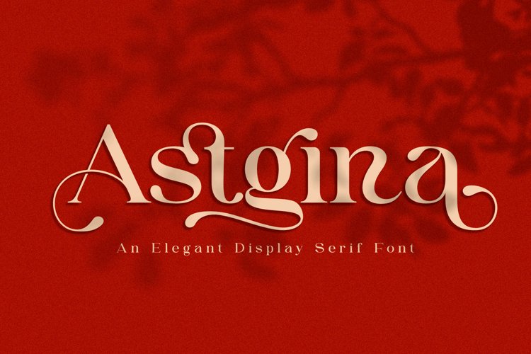 Astgina| A Elegant Display Serif Font