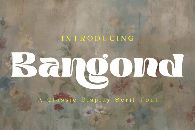 Bangond | A Classic Display Serif Font