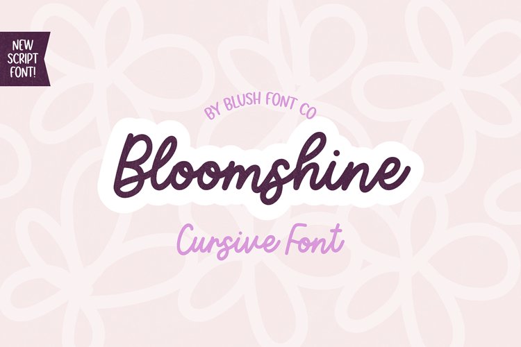 BLOOMSHINE Marker Script Cursive Font