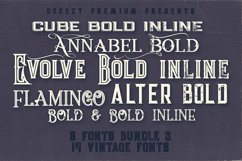 Cool Vintage Fonts Product Image 1