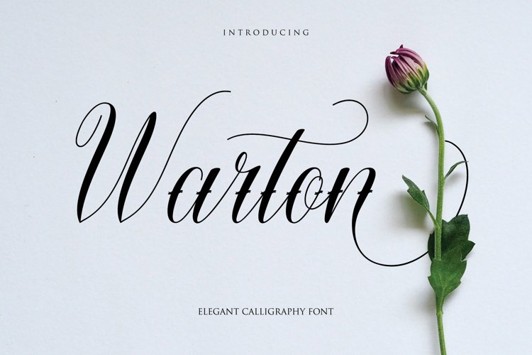 Warton - Elegant Calligraphy font