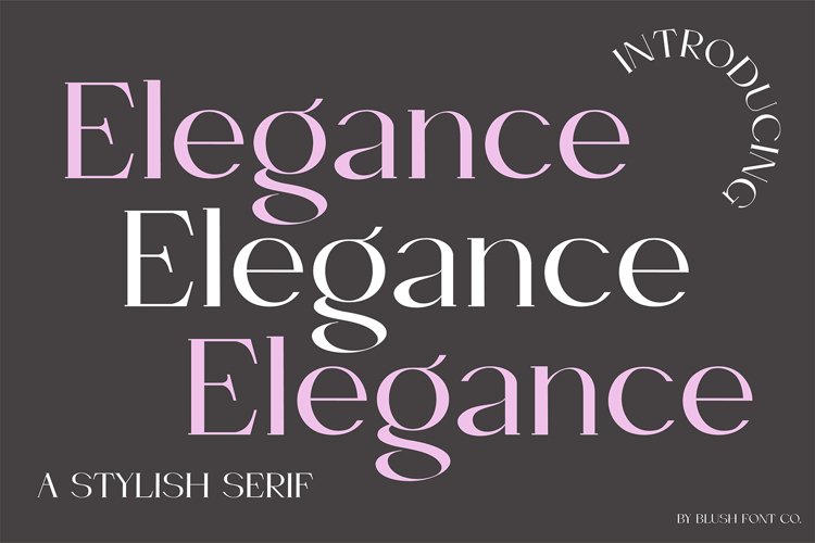 ELEGANCE Stylish Modern Font