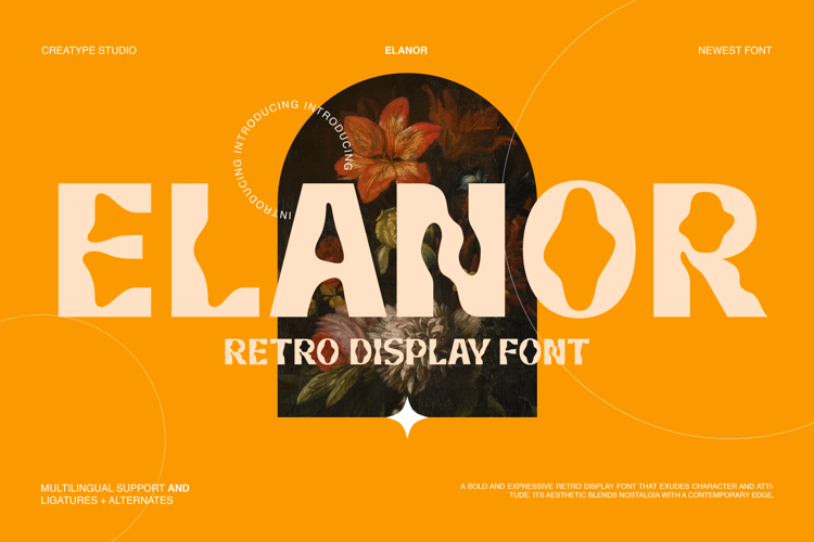 Elanor Retro Display