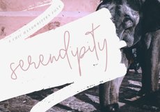 KA Designs Handwritten Font Bundle - 50 Fonts! Product Image 2
