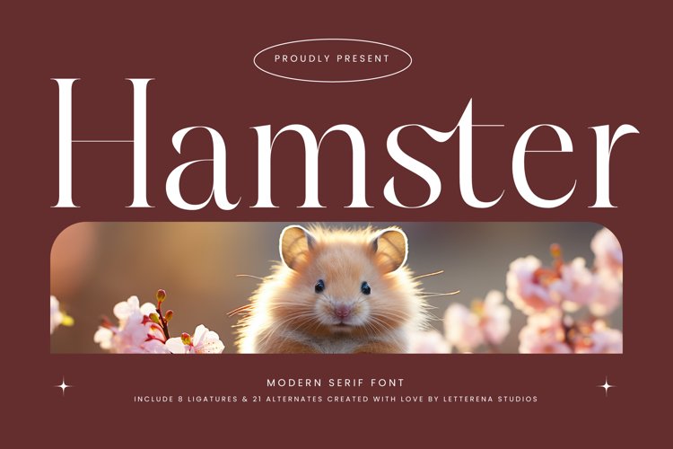Hamster Modern Serif Font