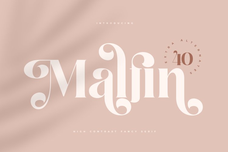 Best Cursive Fonts for Cricut Image 2