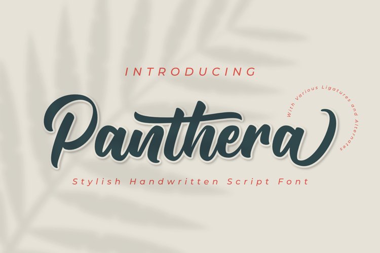 Panthera | A Stylish Script Font