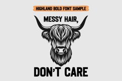 Highland Fonts, Distressed Font, Western Vintage Serif Font Product Image 3