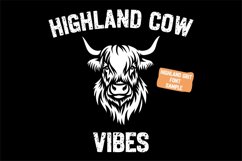 Highland Fonts, Distressed Font, Western Vintage Serif Font Product Image 6