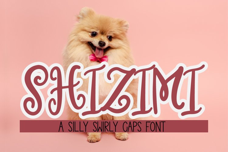 Shizimi - A whimsical swirly caps font