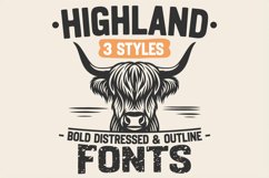 Highland Fonts, Distressed Font, Western Vintage Serif Font Product Image 1