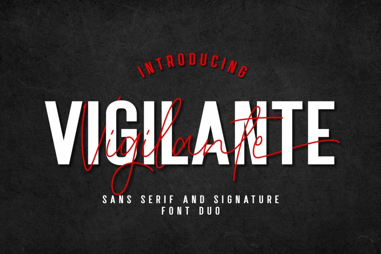 Vigilante | A Modern Classy Font Duo
