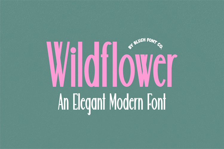 WILDFLOWER Stylish Modern Font