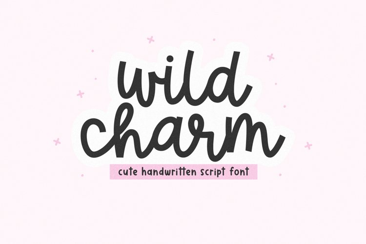 Wild Charm - Cute Script Font